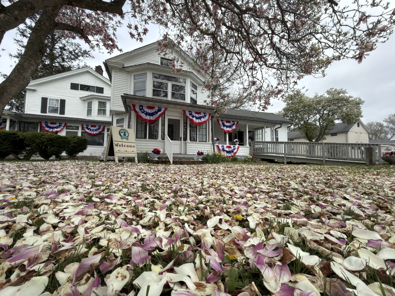 Boothe Homestead decorated with patriotic bunting beneath a magnolia tree