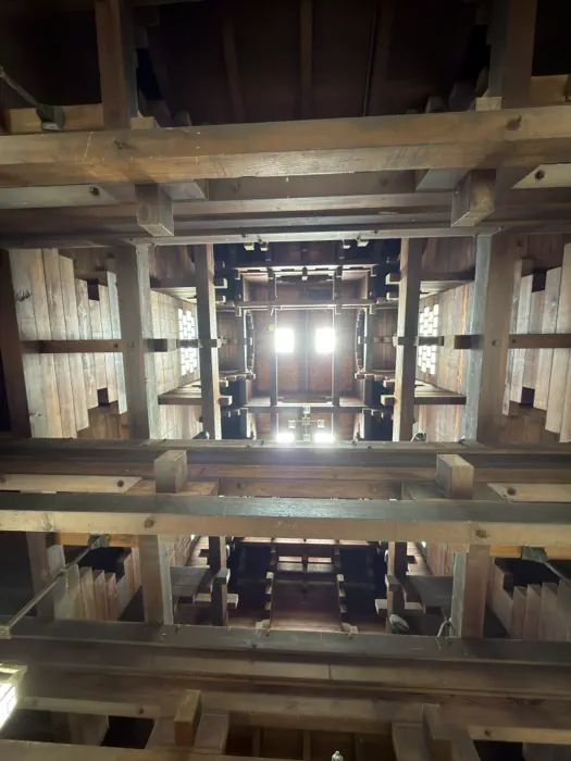Interlocking redwood beams viewed from inside the Redwood Building