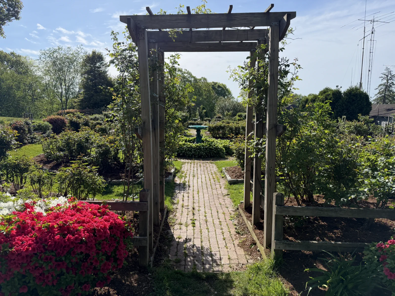 Wooden arbor and brick path leading into the Boothe Park Rose Garden
